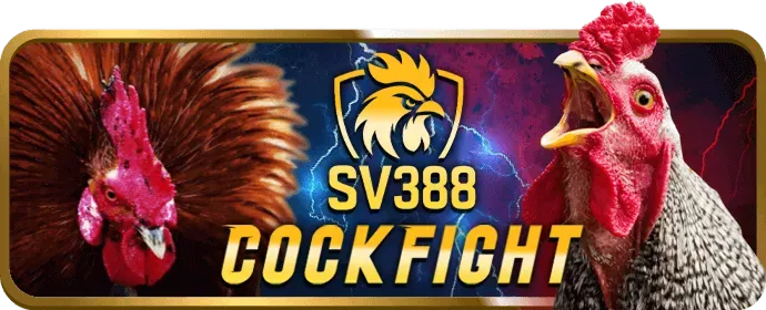 Ưu đãi chào mừng cho thành viên mới 88b Nổ Hũ